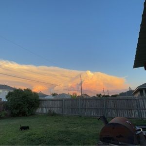 Meet your Posher, A child